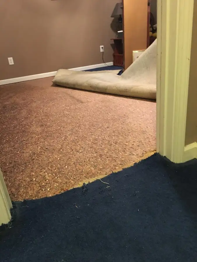 Carpet pad removal revealing water damage during Water Mitigation Services in Long Branch