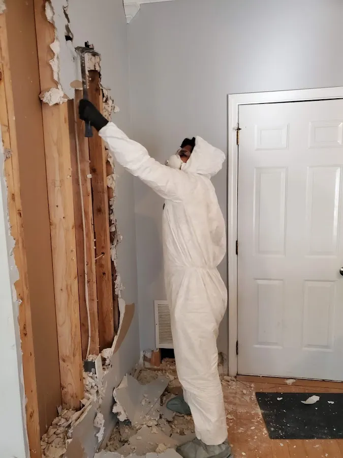 Water Damage Assessment in Long Branch, VA